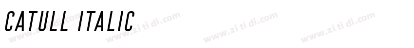 Catull Italic字体转换 Catull Italic字体转换